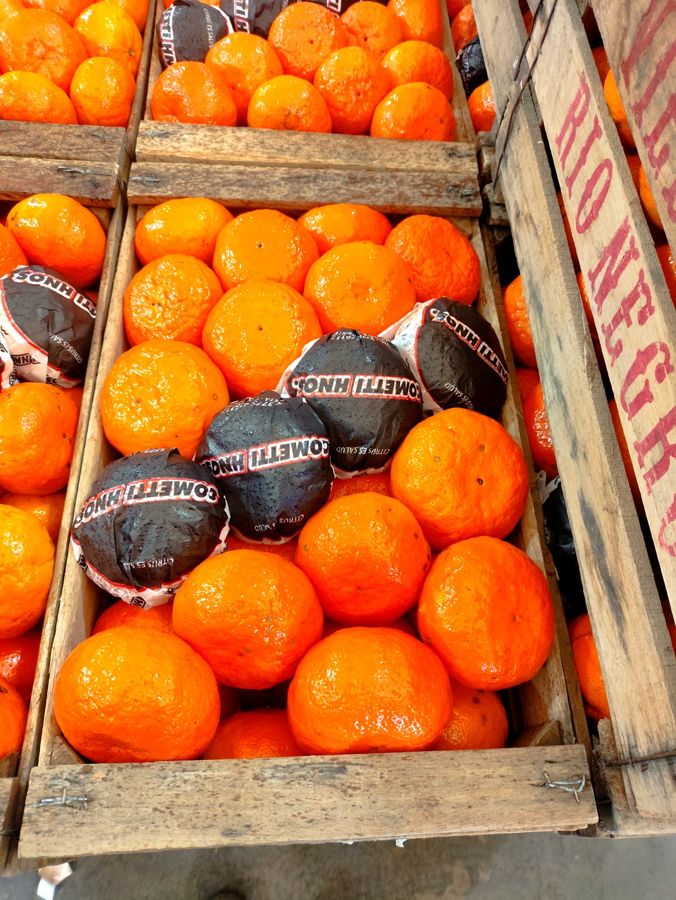 Mandarinas Encore en cajón con papel Cometti Hnos