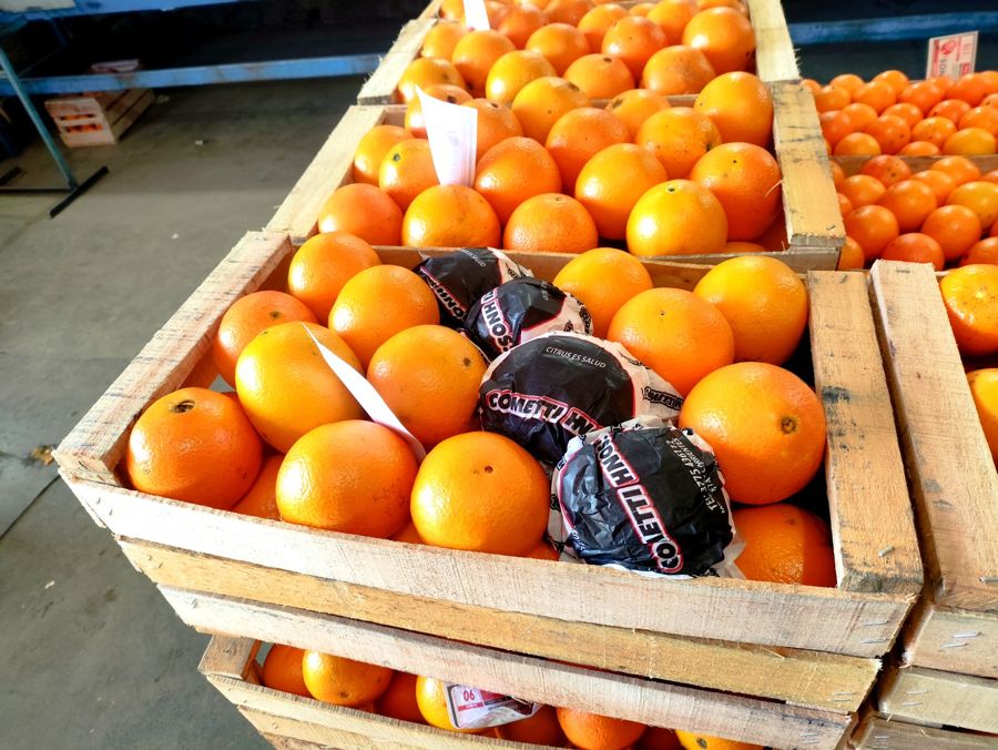 Naranjas embaladas con papel Cometti Hnos en cajones