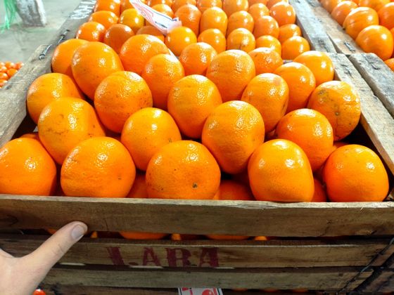 Mandarina Murcott