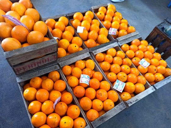 Naranja de ombligo