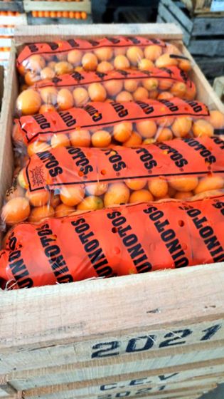 Quinotos en bolsa