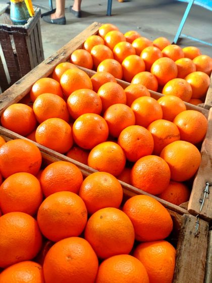 Naranja Valencia